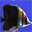 Aquatic Life 3D Screensaver icon